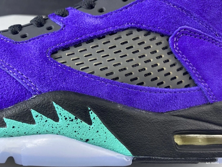  “Alternate 5 Jordan Grape” 136027-500 Air 0204